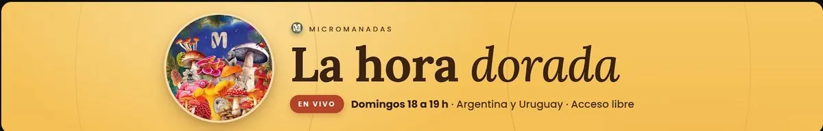 Portada del canal de Micromanadas en YouTube: La hora dorada, domingos de 18 a 19 h
